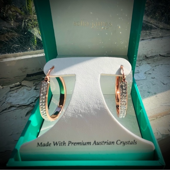 Sofia James — Rose-Gold Toned Hoop Earrings (NIB) - Picture 4 of 7